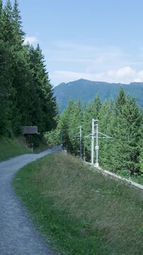 Yellow mountain train passing on a rack railway in the alps