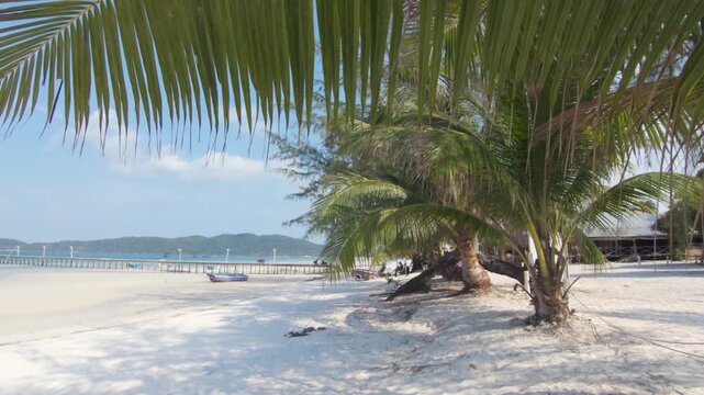 Beautiful tropical beach scenery with palm trees and wooden pier in calm summer weather.