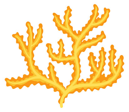 Coral branch cartoon icon. Ocean reef fauna