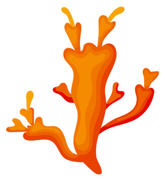 Marine coral reef nature plant. Cartoon icon