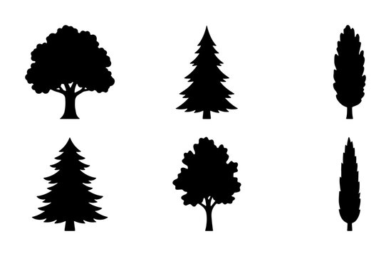 Diverse Tree Silhouettes Collection: Deciduous, Evergreen, and Cypress Vector Icons for Nature Design