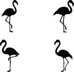 Obraz premium Four flamingos standing in different poses Vector