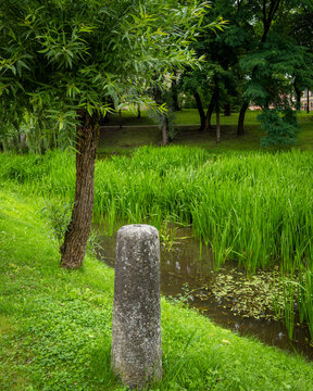 Lush riverside park in Kuldiga summer