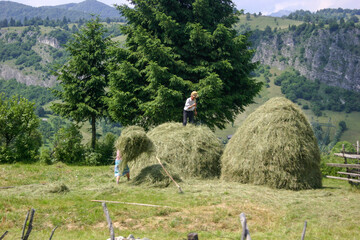 A man and a child are working in a field, stacking hay into large mounds, with a mountainous landscape in the background. © Nick