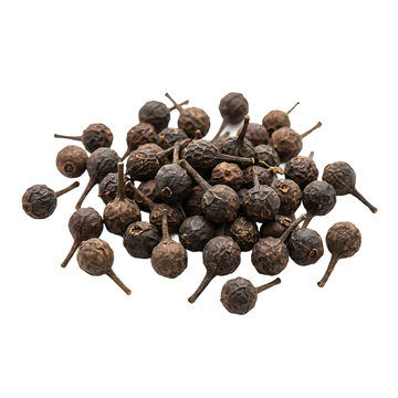 Cubeb Pepper Berry Isolated On Transparent Background