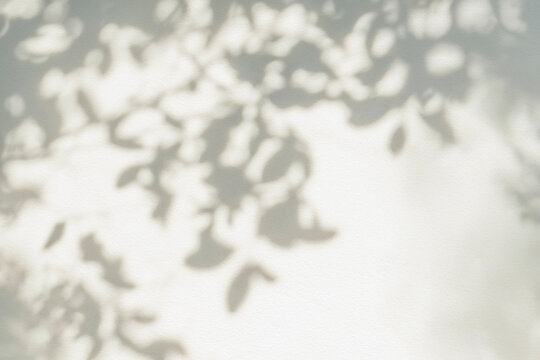Shadow and light of leaves tree branch background. Natural  colorful leaf pastel pink, coral, rose gold shadow and light from sunlight on wall, shadow overlay effect