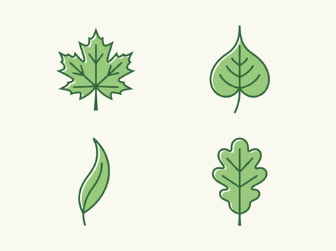 Green botanical leaf line vector icons collection with maple poplar willow and oak tree foliage