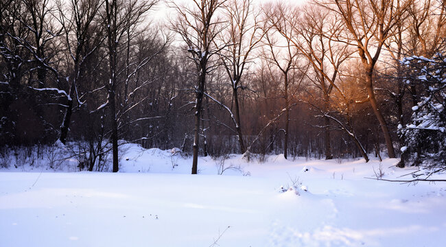 Couole outdoors in winter
