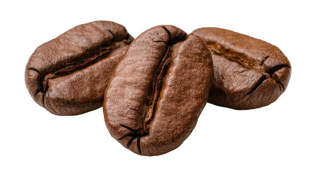 Three roasted brown coffee beans with textured surfaces, isolated on transparent background
