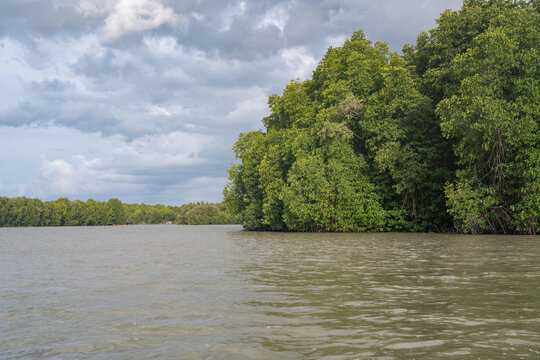 The mangrove forests at the mouth of the Pak Phanang River, they form an important coastal wetland where freshwater meets the Gulf of Thailand. Nakhon Si Thammarat province, southern Thailand.