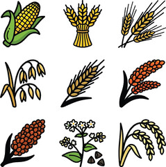 Obraz premium A vibrant collection of cereal grains and crops is depicted in a clear, illustrative style, showcasing various staple foods like corn, wheat, oats, and rice with distinct colors and textures.