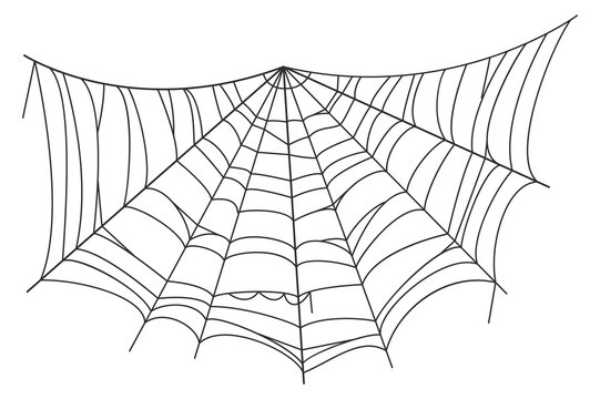 Halloween spider net. Old cobweb black silhouette