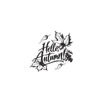 "Hello Autumn" lettering with maple leaves  vector sketch