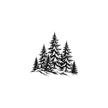 Christmas tree in the snow vector sketch