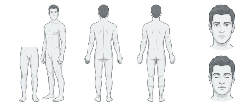 Male anatomy body character reference sheet with front, back and head views, neutral poses