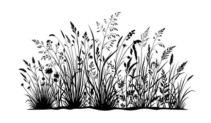 Wild Meadow Grass Silhouette Flat Vector Illustration With Tall Blades, Stems, Seed Heads, and Natural Botanical Foliage on White Background © Rikta