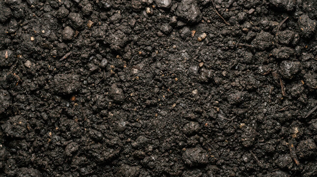Rich dark soil texture, organic garden earth background, fertile black potting compost for agriculture and farming Black Friday Special