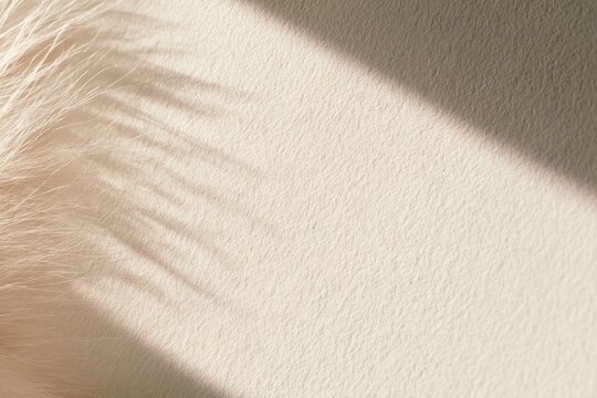 Detailed shadow patterns on a soft surface created by direct light on a textured background