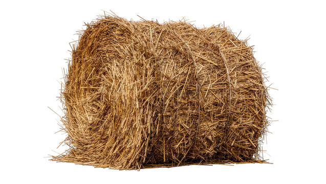 Round golden hay bale with rough texture, isolated on transparent background