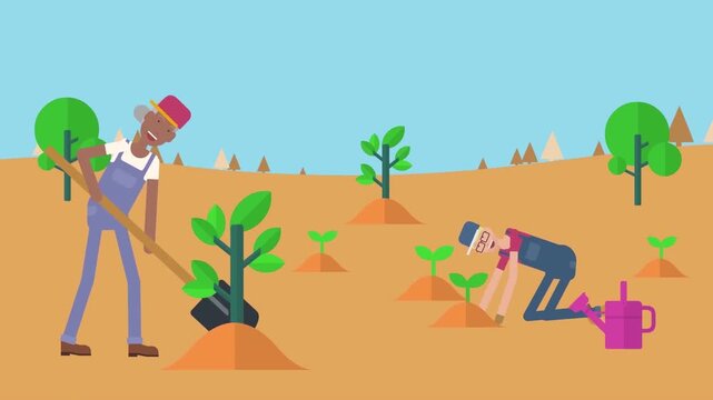 Elderly gardeners working together in field planting young saplings and watering soil in this colorful vector flat animation style video