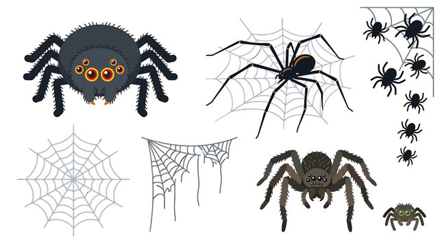Illustrated collection of spiders and webs design.
