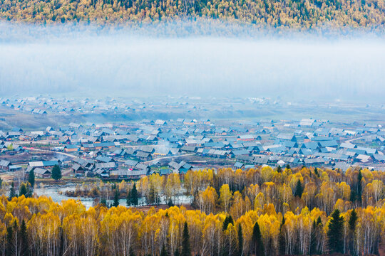 Golden autumn landscapes of Kanas and Hemu Village, Xinjiang, China