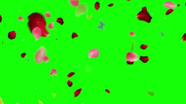 Red and pink flower petals falling against a green screen background