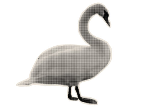 Isolated goose or wild white swan. Bird silhouette with a retro halftone effect on kraft paper. Scrapbook sticker. Photocopy on old paper.