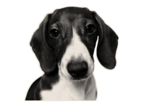 Head of a short-haired dog. Animal portrait in halftone style. Paper cutout of a pet for collages and scrapbooking.