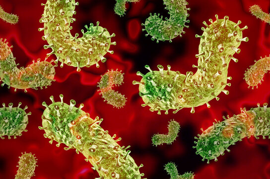 Rabies Outbreak disease as microscopic virus spreading through bites of infected animals.