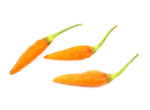Fresh orange bird's eye chili peppers isolated on white background.