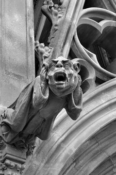 Gargouille de la Basilique Saint-Nazaire-et-Saint-Celse &agrave; Carcassonne