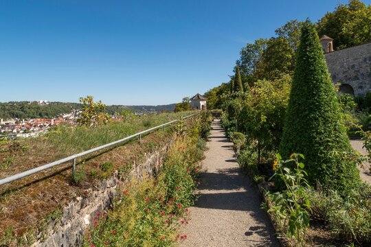 Willibaldsburg Bastion Garden, dates back to the botanical garden created by Prince-Bishop Johann Konrad of Gemmingen, plants served as a model for Hortus Eystettensis published in 1613, the most famous plant book of the Renaissance, Eichst&auml;tt, Altm&uuml;hltal, Upper Bavaria, Bavaria, Germany