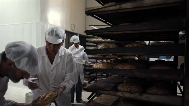 Industrial bakery workers in hygienic uniforms carefully handling and arranging freshly baked, rustic loaves of bread on large metal cooling racks, collaborating as a team in the production process