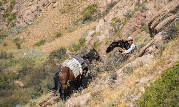 Traditional Kyrgyz eagle hunter with eagle in the mountains, hunting on horseback, near Kysyl-Suu, Kyrgyzstan