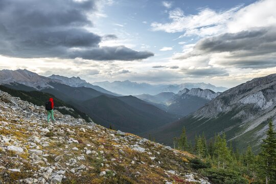 Female hiker on a hiking trail, Sulphur Skyline trail, Ashlar Range, near Miette Hotsprings, Jasper National Park, British Columbia, Canada