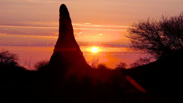 Silhouette of termite mound during dramatic sunrise in African savanna.