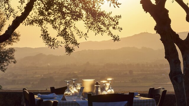 Atmospheric landscape at sunset with focus on a decorated table and olive trees, Hotel Europa, garden restaurant and view of the surrounding landscape, Olympia, Peloponnese, Greece