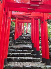 Fototapeta premium A traditional pathway lined with vibrant red torii gates and stone steps winding through a lush green forest at a Shinto shrine in Japan.