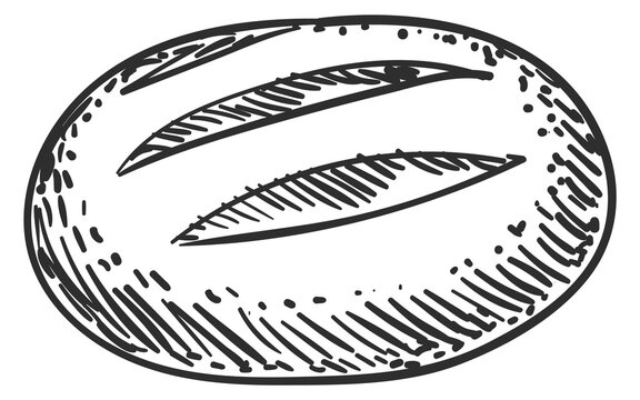 Round bread loaf sketch. Bakery menu element