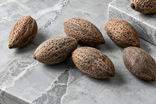 Minimalist commercial photography of whole oblong canarium nuts with rough porous shells placed asymmetrically on light gray marble