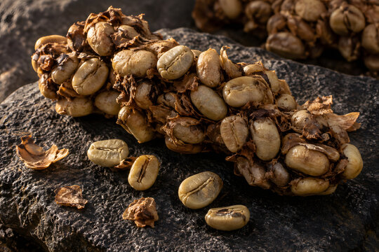 Macro commercial food photography of raw unroasted civet coffee beans with natural thin parchment husks on a rough dark stone slab