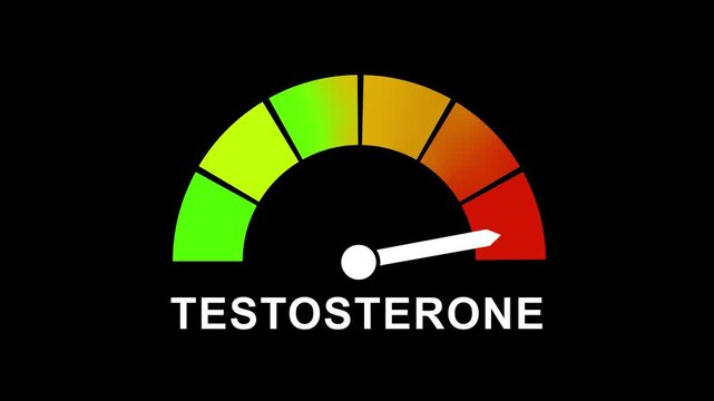 Animated testosterone level gauge meter showing fluctuating hormone levels from low to on a black background, for medical health, fitness, endocrinology, and, biological research presentations