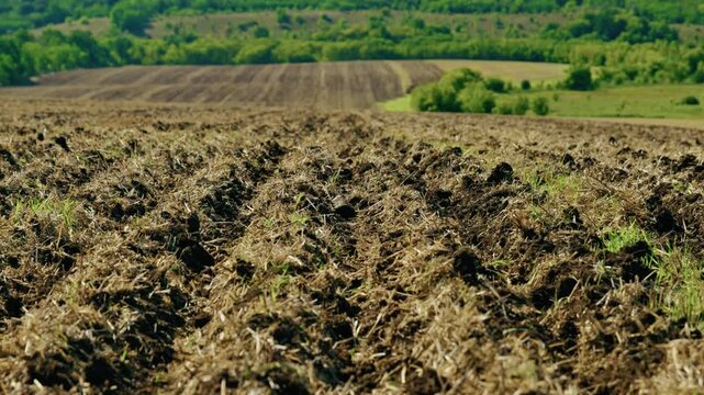 A wide landscape shot captures a plowed agricultural field with tilled furrows extending toward rolling green hills under bright sunlight.