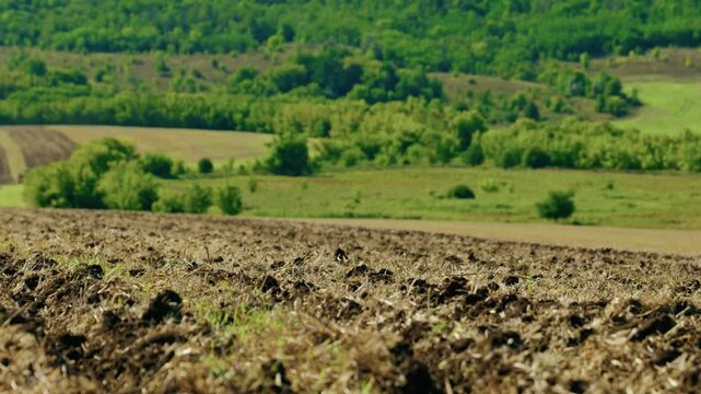A wide landscape shot captures a plowed agricultural field with tilled furrows extending toward rolling green hills under bright sunlight.