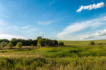 Obraz premium A grassy field with trees in the background