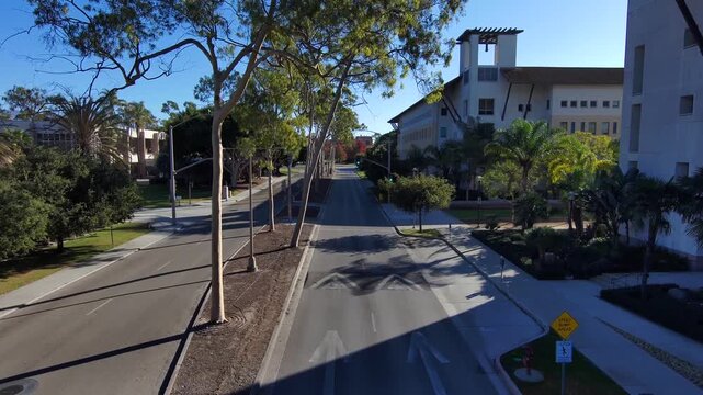 Driving forward on empty university road with vibrant trees under a bright blue sky on sunny day footage.