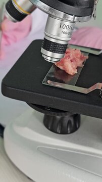 Research process using a microscope to examine samples in a laboratory setting
