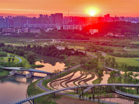 Yichang Ecological Park Sunrise with Winding Bridge and Wetland Reflections
