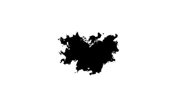 Cinematic Black Ink Reveal